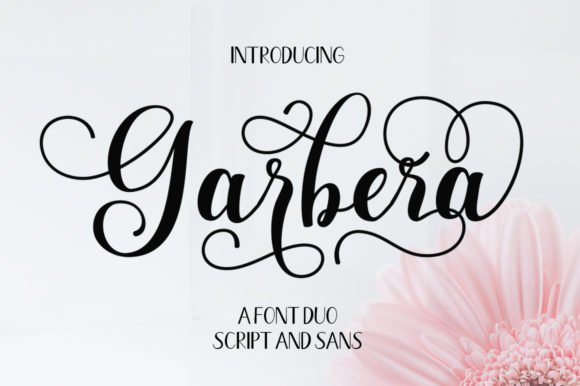 Garbera Duo: A Font for Creative Web Design