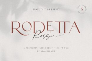 Rodetta Rossie: A Font for Creative Campaigns